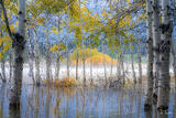 Whispers Across the Water