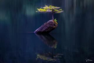 The Art of Relaxation: Choosing Calming Photography for Your Home