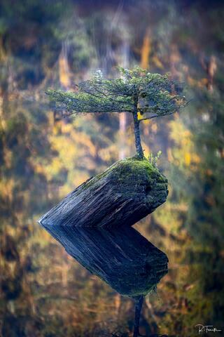 Anchor In The Mirror