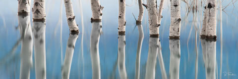 Still Water Panorama