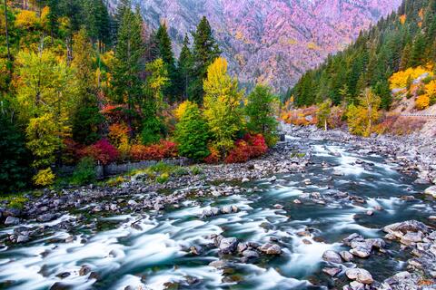 Where the River Flows