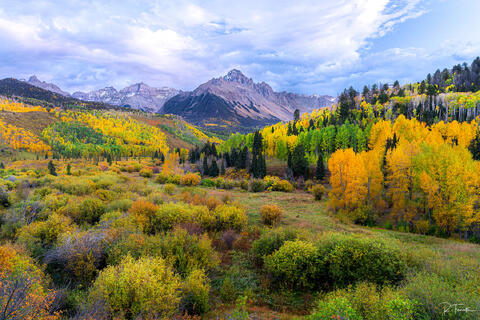 Magic Meadows