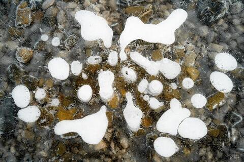 Rorschach Test