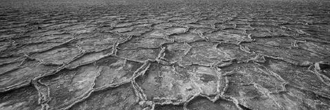 Walking On The Moon