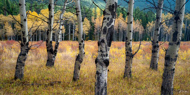 Colors of Kananaskis