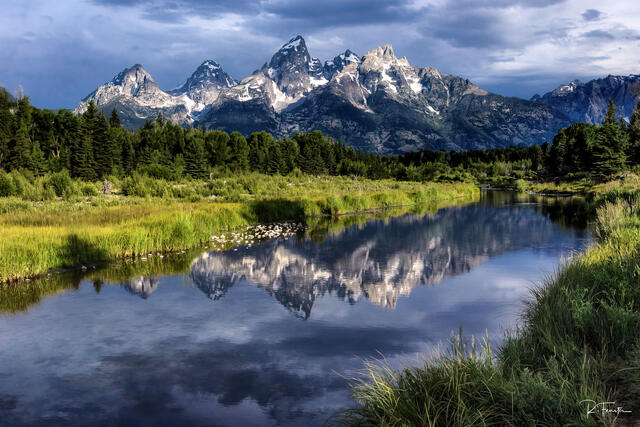 Purple Mountains Majesty