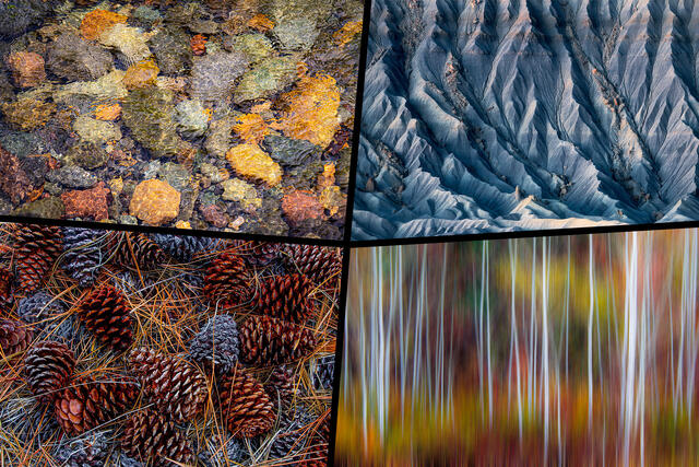 Abstract Photography 