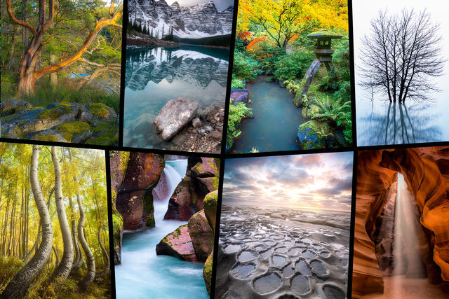 Vertical Images Gallery | Fine Art Nature Photography