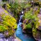 River Of Dreams