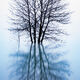 Double Vision