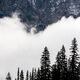 When the Fog Rolls In