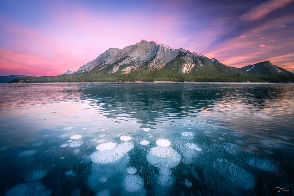 Abraham Lake Ice Bubbles
