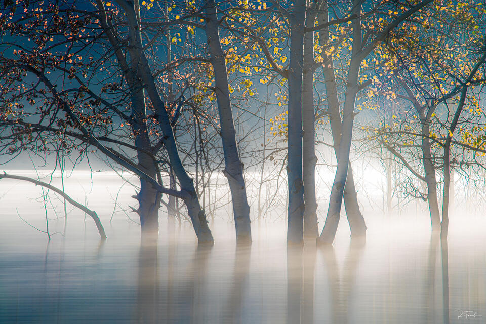 alberta lake sunrise