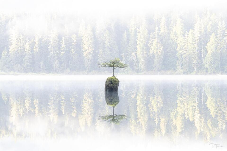 Fairy Lake British Columbia