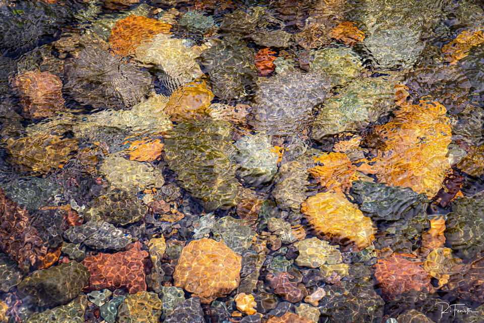 Ripples