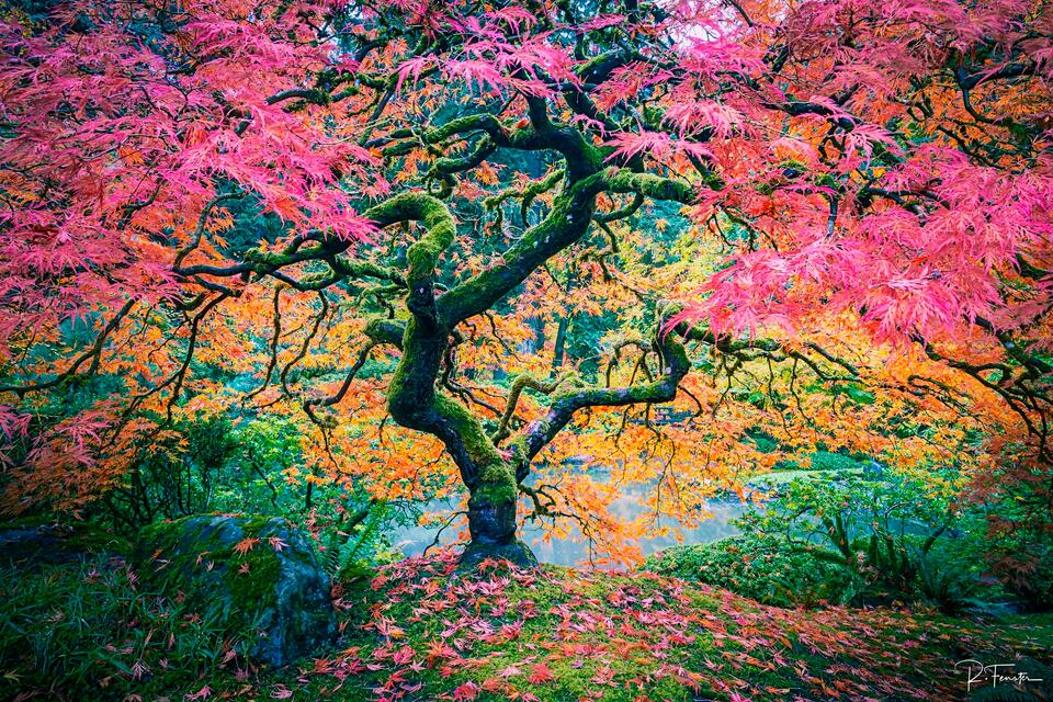 Technicolor