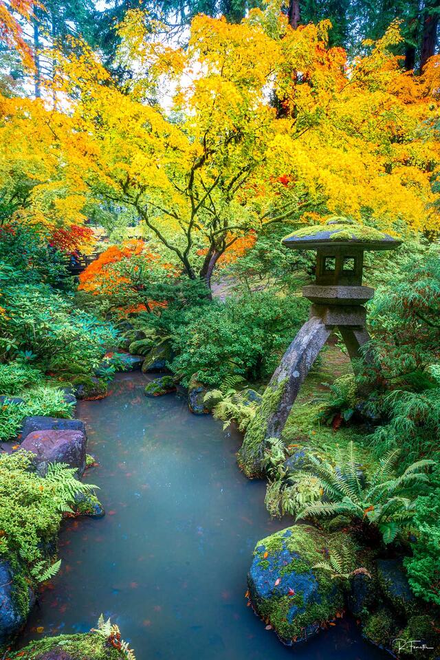 portland japanese garden