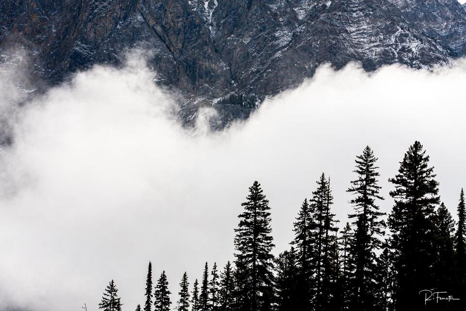 fog rolling in yoho national park