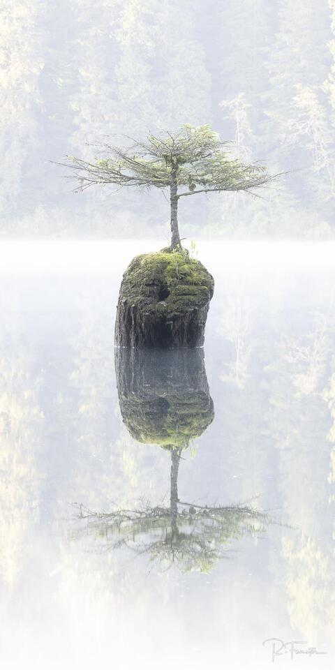 Fairy Lake Port Renfrew