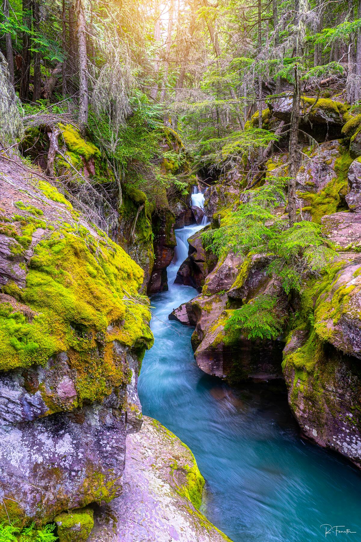 River Of Dreams The cool waters flow along the moss covered rocks of Avalanche CanyonFine Art Limited Edition of 100